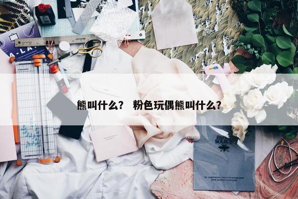 熊叫什么？ 粉色玩偶熊叫什么？