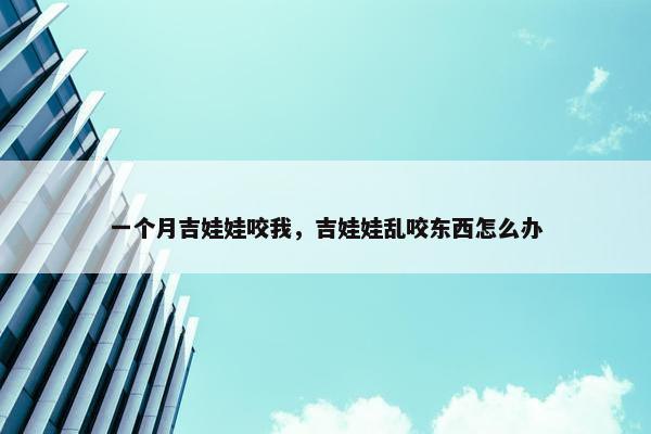 一个月吉娃娃咬我，吉娃娃乱咬东西怎么办