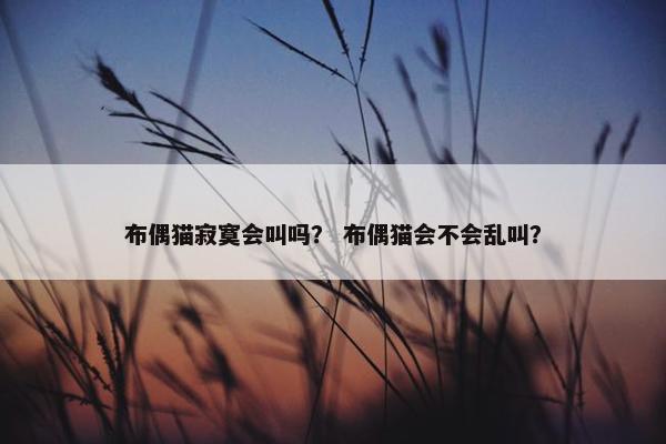 布偶猫寂寞会叫吗？ 布偶猫会不会乱叫？