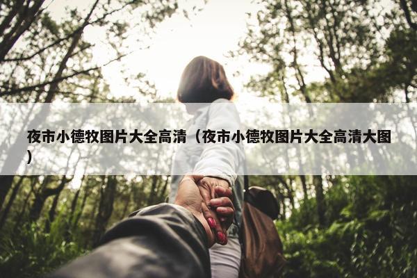 夜市小德牧图片大全高清（夜市小德牧图片大全高清大图）