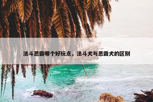 法斗恶霸哪个好玩点，法斗犬与恶霸犬的区别