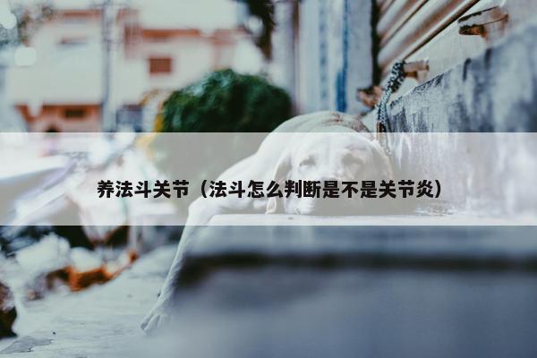 养法斗关节（法斗怎么判断是不是关节炎）