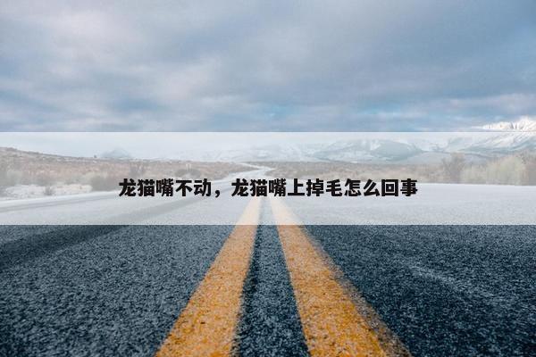 龙猫嘴不动，龙猫嘴上掉毛怎么回事
