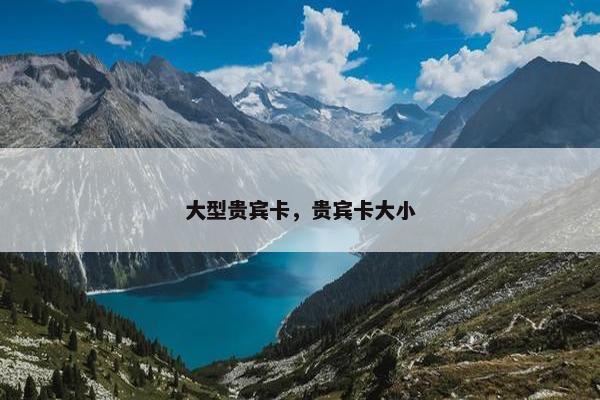 大型贵宾卡，贵宾卡大小