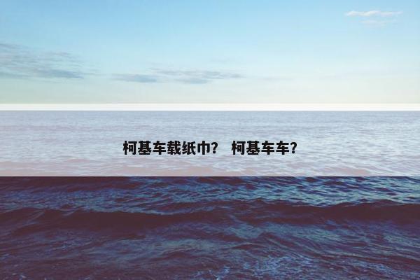 柯基车载纸巾？ 柯基车车？