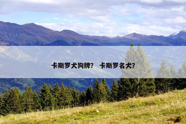 卡斯罗犬狗牌？ 卡斯罗名犬？