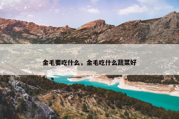金毛要吃什么，金毛吃什么蔬菜好