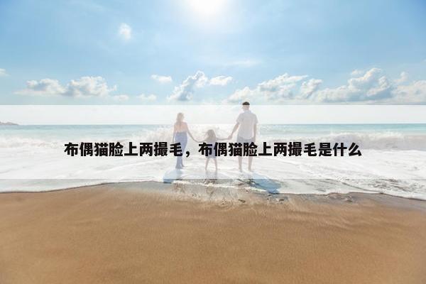 布偶猫脸上两撮毛，布偶猫脸上两撮毛是什么