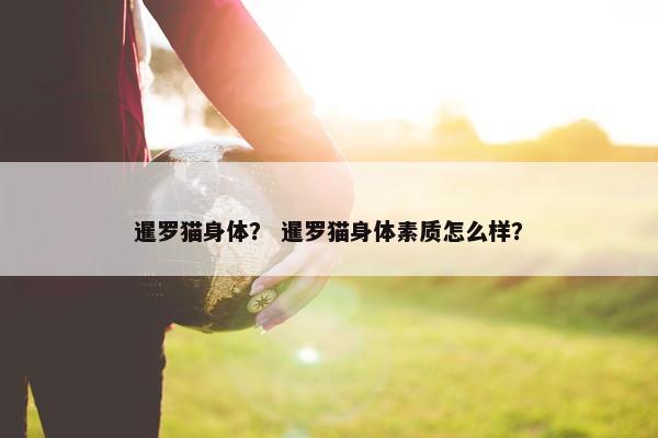 暹罗猫身体？ 暹罗猫身体素质怎么样？