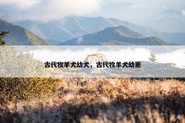 古代牧羊犬幼犬，古代牧羊犬幼崽
