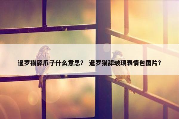 暹罗猫舔爪子什么意思？ 暹罗猫舔玻璃表情包图片？