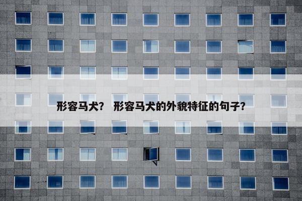 形容马犬？ 形容马犬的外貌特征的句子？