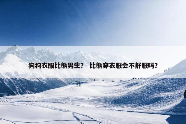 狗狗衣服比熊男生？ 比熊穿衣服会不舒服吗？