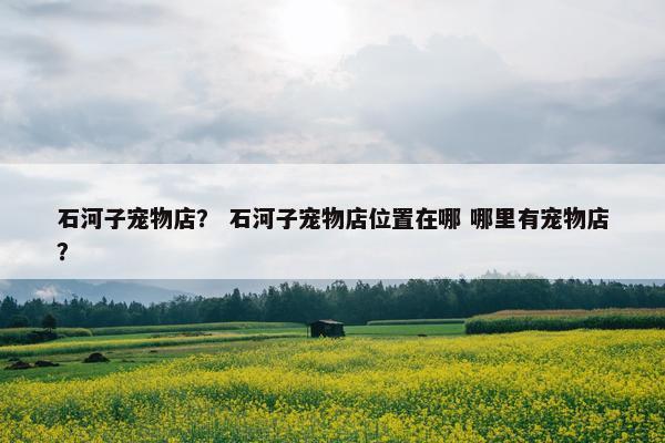 石河子宠物店？ 石河子宠物店位置在哪 哪里有宠物店？