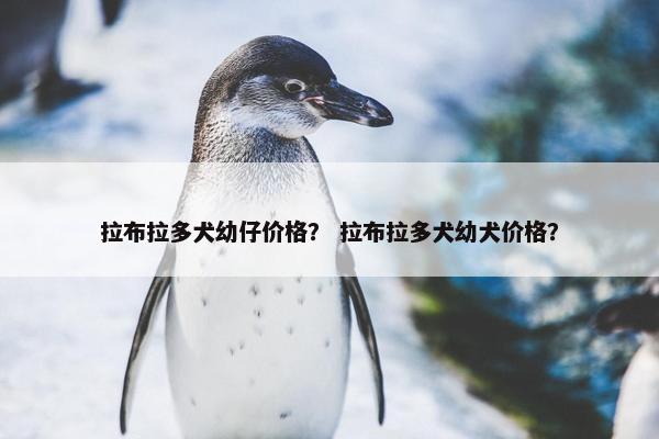 拉布拉多犬幼仔价格？ 拉布拉多犬幼犬价格？