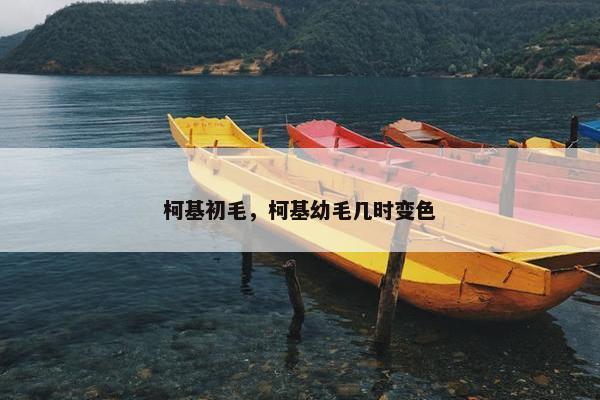 柯基初毛，柯基幼毛几时变色