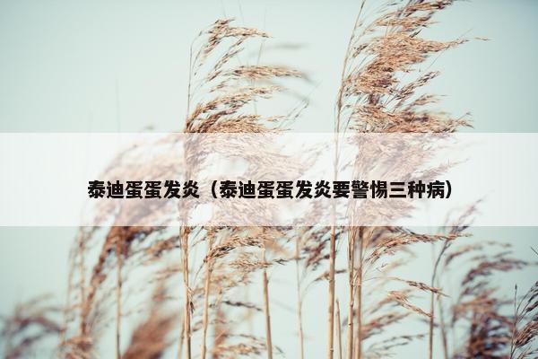 泰迪蛋蛋发炎（泰迪蛋蛋发炎要警惕三种病）