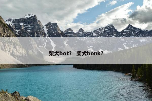 柴犬bot？ 柴犬bonk？