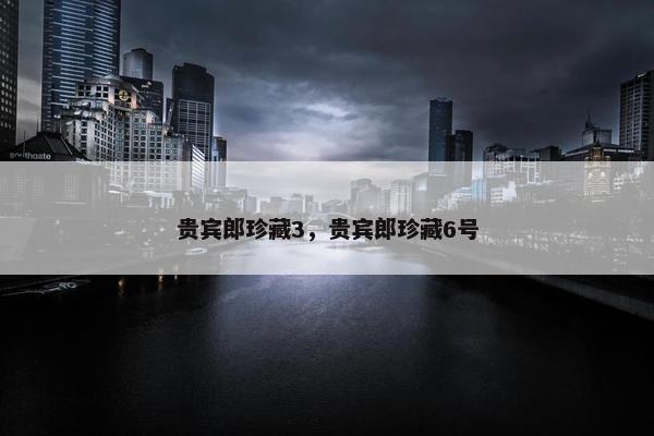 贵宾郎珍藏3，贵宾郎珍藏6号