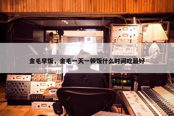金毛早饭，金毛一天一顿饭什么时间吃最好