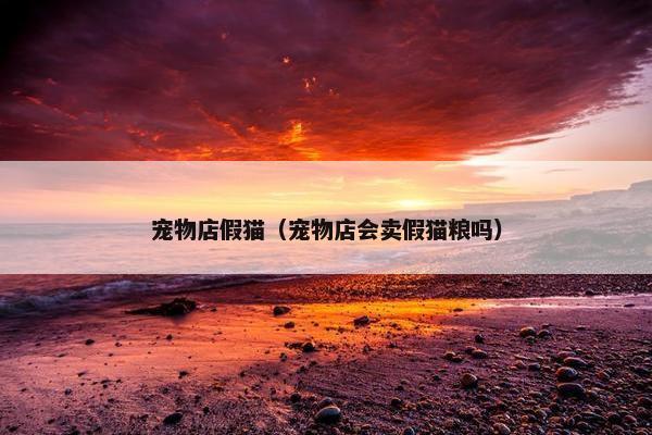 宠物店假猫（宠物店会卖假猫粮吗）