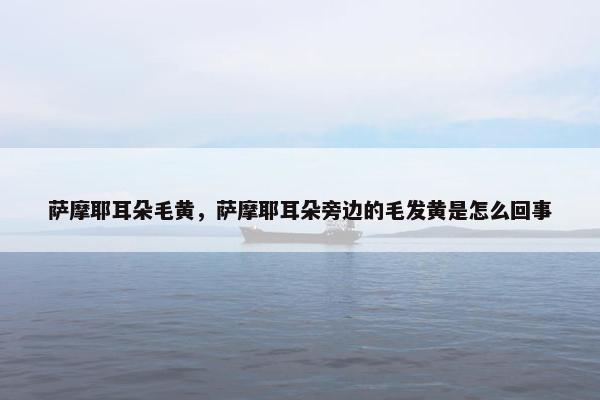 萨摩耶耳朵毛黄，萨摩耶耳朵旁边的毛发黄是怎么回事