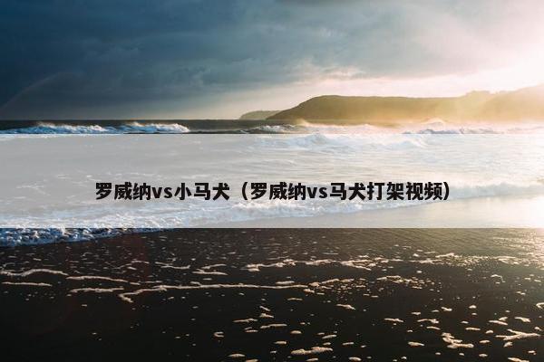 罗威纳vs小马犬（罗威纳vs马犬打架视频）