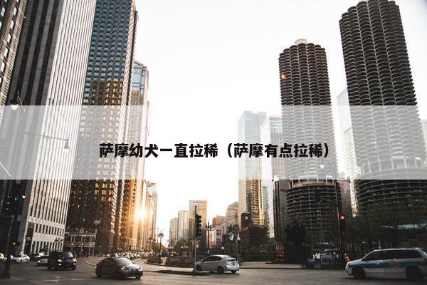 萨摩幼犬一直拉稀（萨摩有点拉稀）