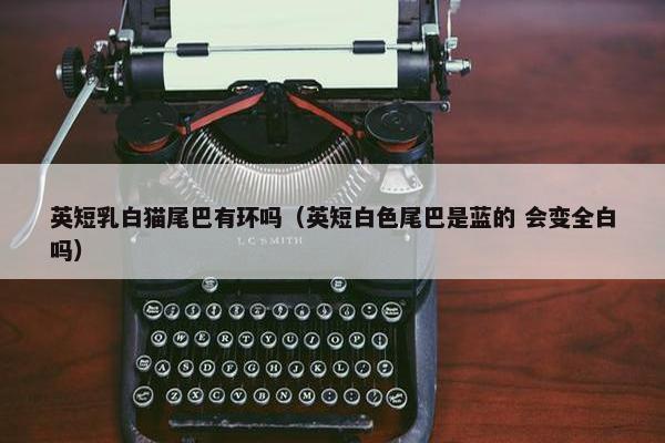 英短乳白猫尾巴有环吗（英短白色尾巴是蓝的 会变全白吗）