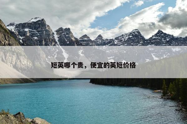 短英哪个贵，便宜的英短价格