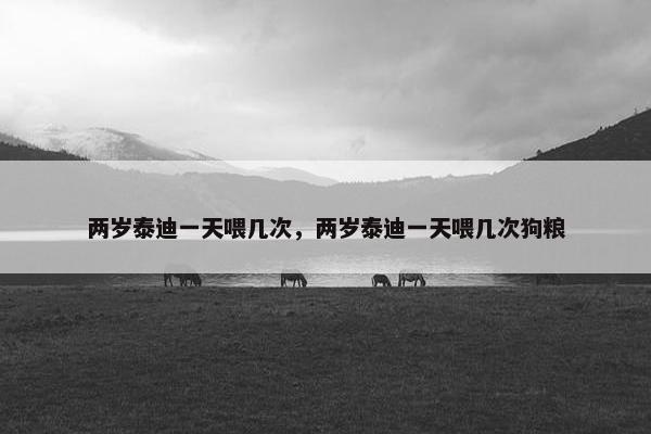 两岁泰迪一天喂几次，两岁泰迪一天喂几次狗粮