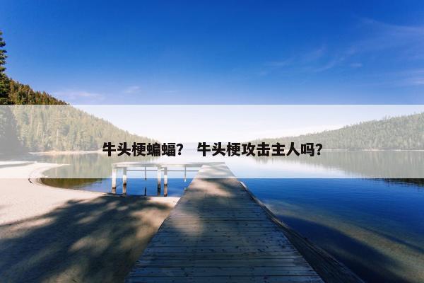牛头梗蝙蝠？ 牛头梗攻击主人吗？
