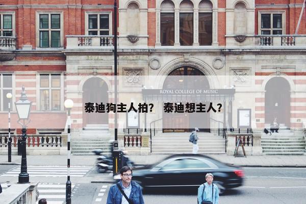 泰迪狗主人拍？ 泰迪想主人？