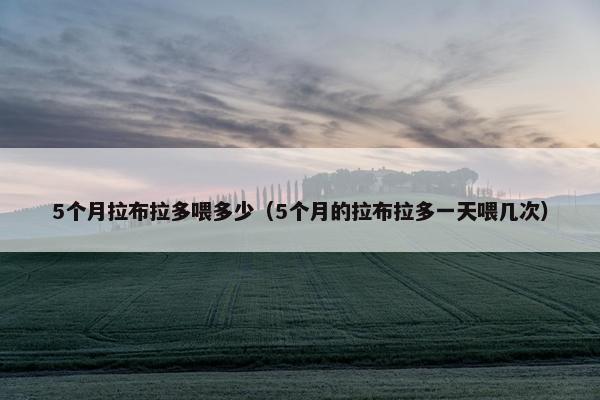 5个月拉布拉多喂多少（5个月的拉布拉多一天喂几次）