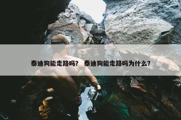 泰迪狗能走路吗？ 泰迪狗能走路吗为什么？