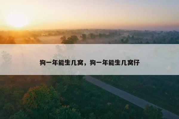狗一年能生几窝，狗一年能生几窝仔