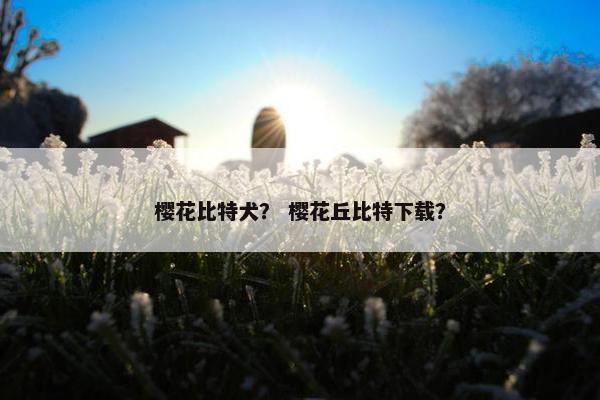樱花比特犬？ 樱花丘比特下载？