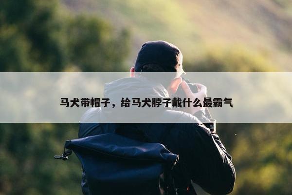 马犬带帽子，给马犬脖子戴什么最霸气