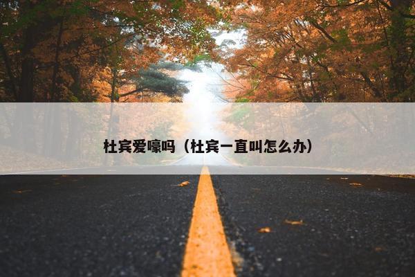 杜宾爱嚎吗（杜宾一直叫怎么办）
