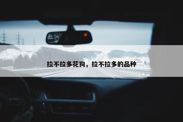 拉不拉多花狗，拉不拉多的品种