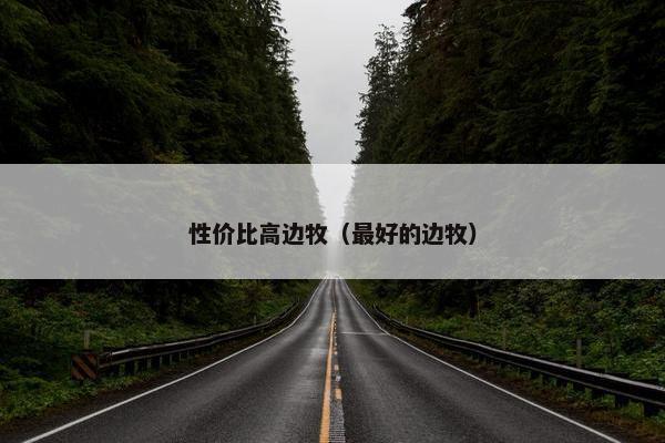 性价比高边牧（最好的边牧）