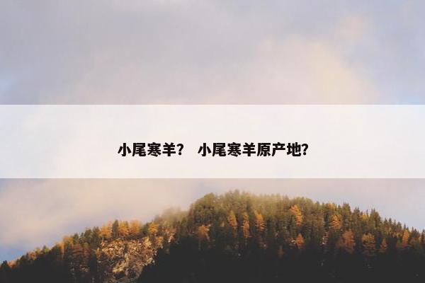 小尾寒羊？ 小尾寒羊原产地？