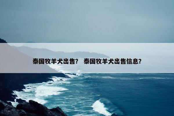 泰国牧羊犬出售？ 泰国牧羊犬出售信息？