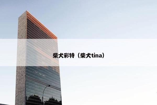 柴犬彩特（柴犬tina）