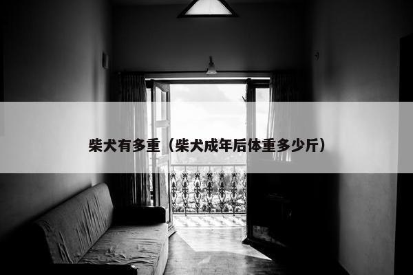 柴犬有多重（柴犬成年后体重多少斤）
