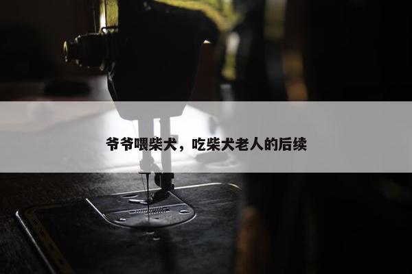 爷爷喂柴犬，吃柴犬老人的后续