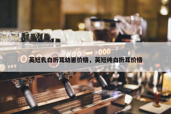 英短乳白折耳幼崽价格，英短纯白折耳价格