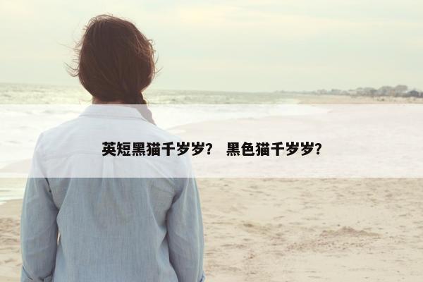 英短黑猫千岁岁？ 黑色猫千岁岁？