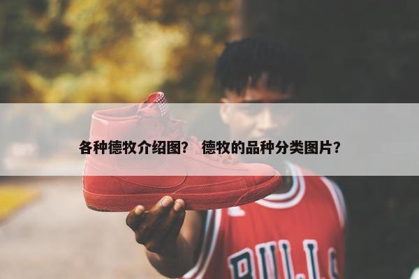 各种德牧介绍图？ 德牧的品种分类图片？