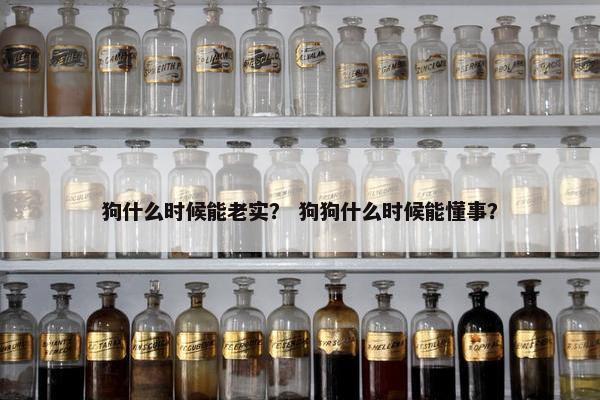 狗什么时候能老实？ 狗狗什么时候能懂事？